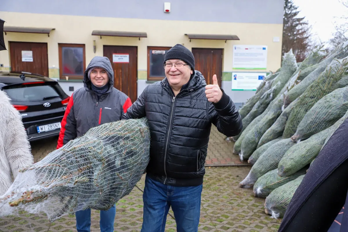 Ponad 200 choinek trafiło do mieszkańców Ostrowi! Ekologiczna akcja zakończona sukcesem! (zdjęcia)