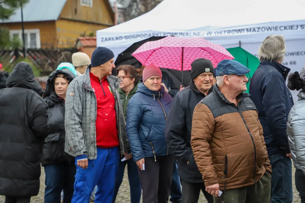 Ponad 200 choinek trafiło do mieszkańców Ostrowi! Ekologiczna akcja zakończona sukcesem! (zdjęcia)