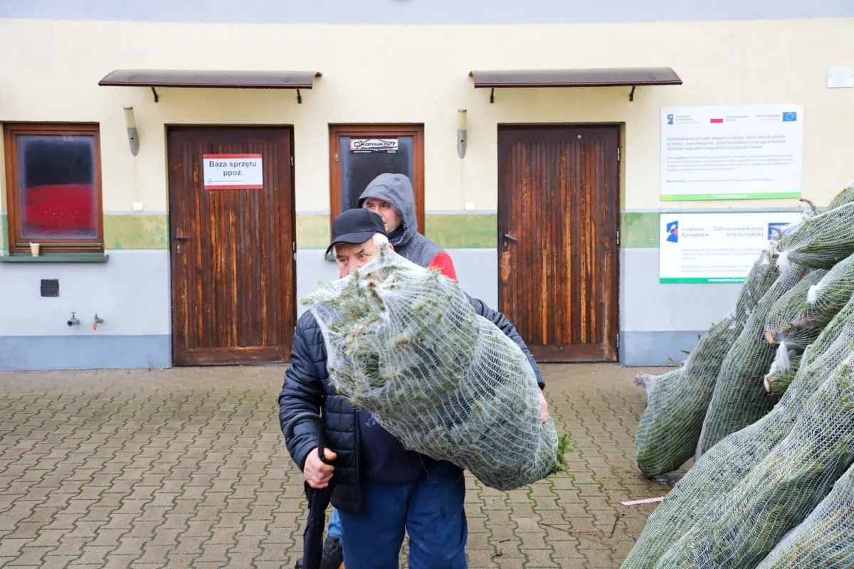 Ponad 200 choinek trafiło do mieszkańców Ostrowi! Ekologiczna akcja zakończona sukcesem! (zdjęcia)