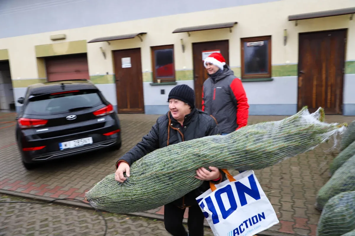 Ponad 200 choinek trafiło do mieszkańców Ostrowi! Ekologiczna akcja zakończona sukcesem! (zdjęcia)