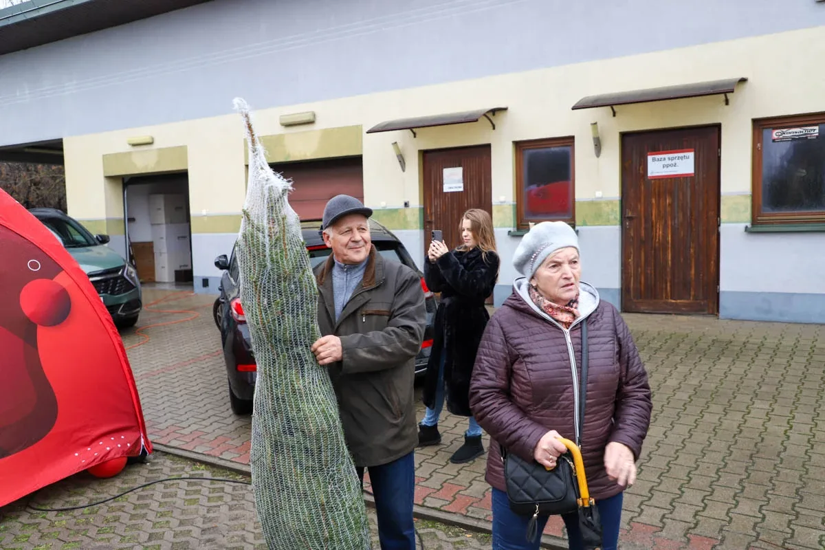 Ponad 200 choinek trafiło do mieszkańców Ostrowi! Ekologiczna akcja zakończona sukcesem! (zdjęcia)