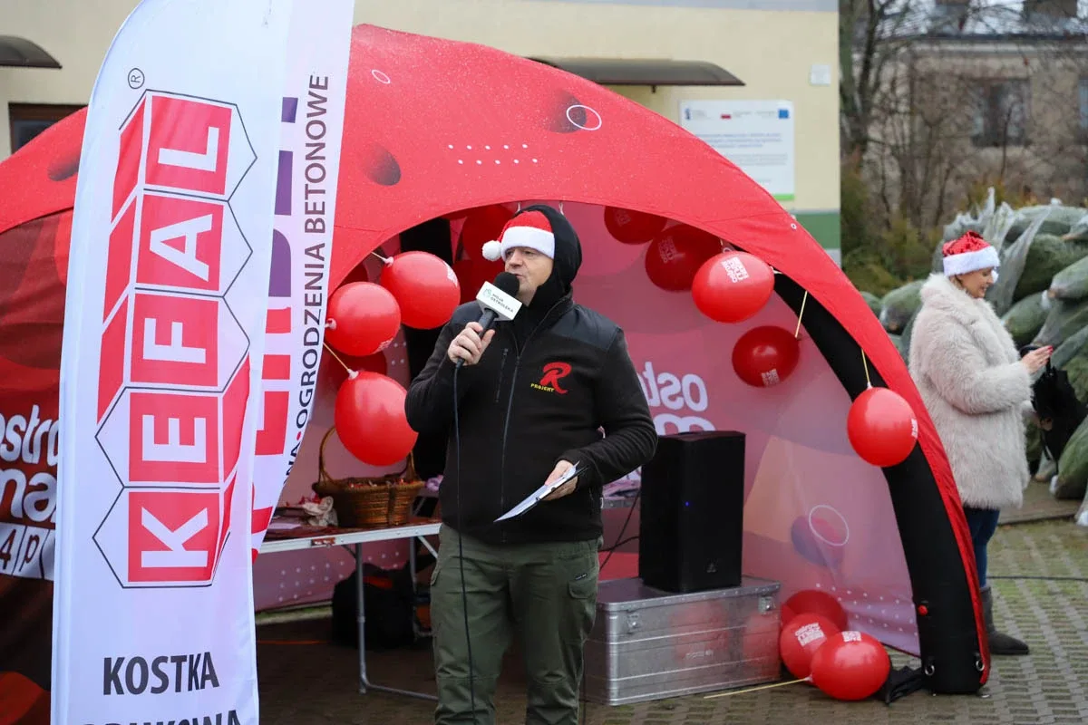 Ponad 200 choinek trafiło do mieszkańców Ostrowi! Ekologiczna akcja zakończona sukcesem! (zdjęcia)