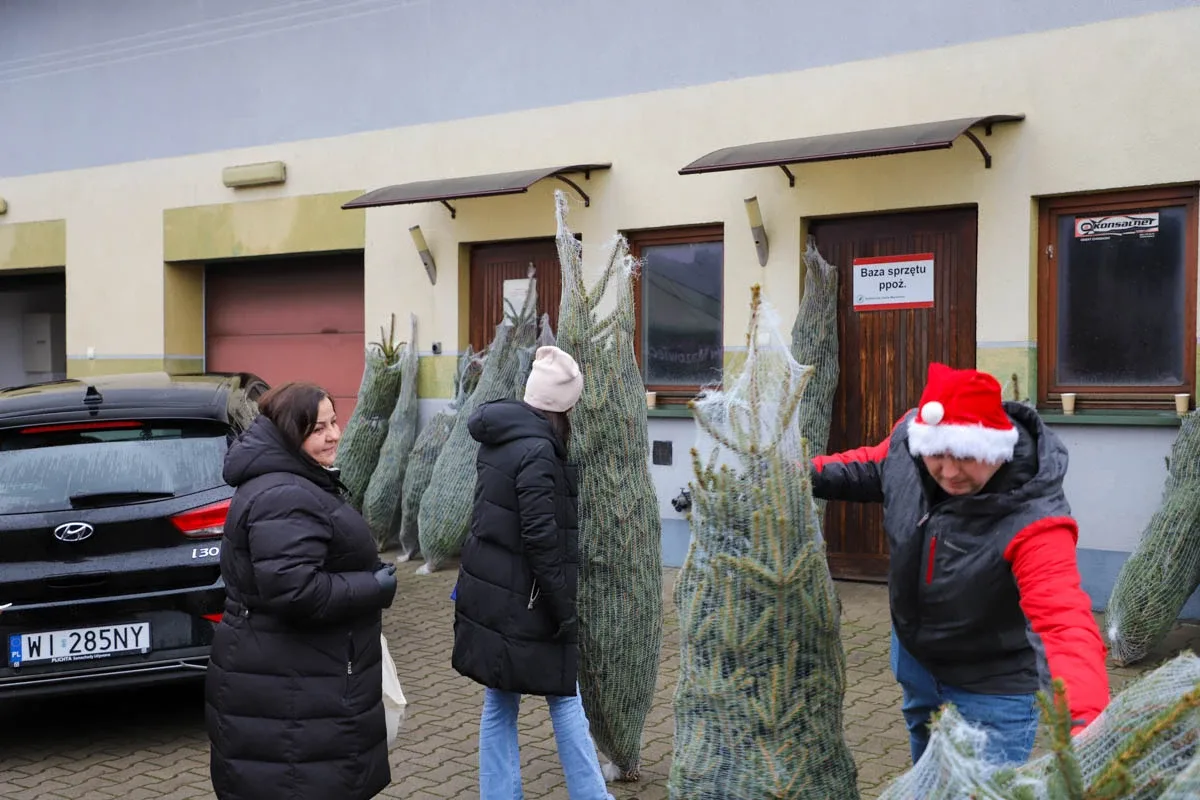 Ponad 200 choinek trafiło do mieszkańców Ostrowi! Ekologiczna akcja zakończona sukcesem! (zdjęcia)