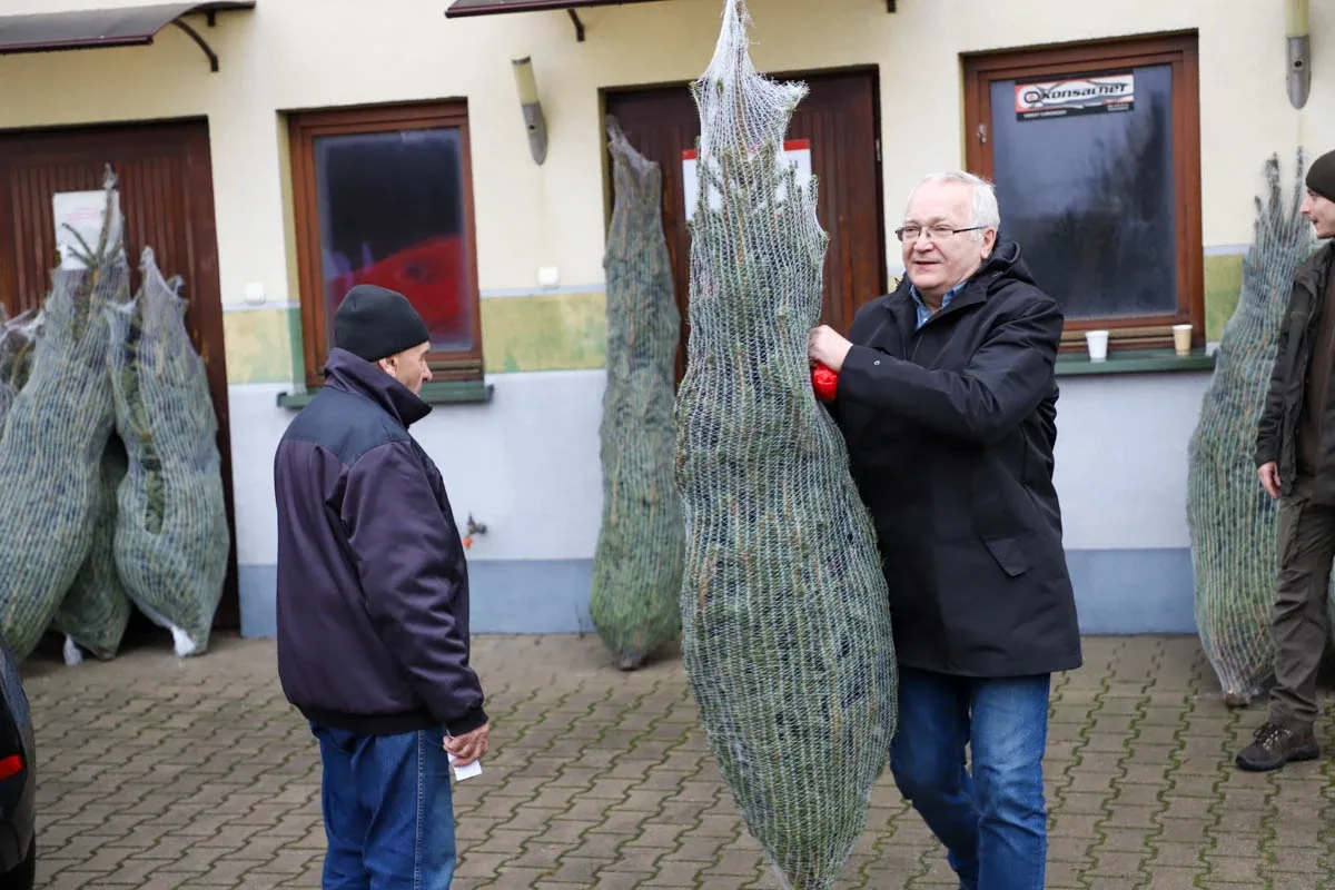 Ponad 200 choinek trafiło do mieszkańców Ostrowi! Ekologiczna akcja zakończona sukcesem! (zdjęcia)