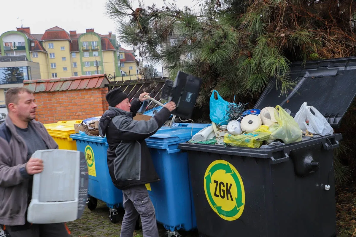 Ponad 200 choinek trafiło do mieszkańców Ostrowi! Ekologiczna akcja zakończona sukcesem! (zdjęcia)