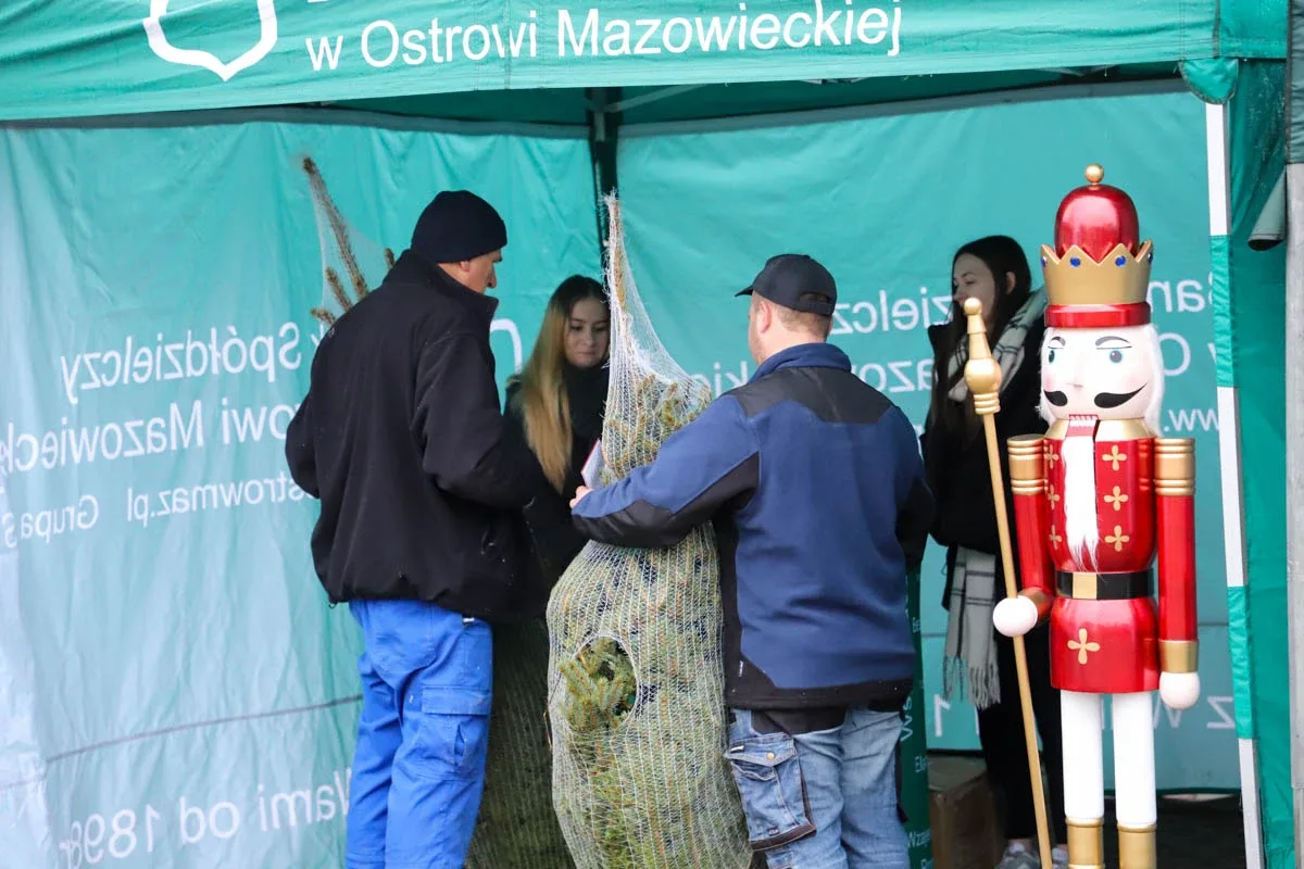 Ponad 200 choinek trafiło do mieszkańców Ostrowi! Ekologiczna akcja zakończona sukcesem! (zdjęcia)