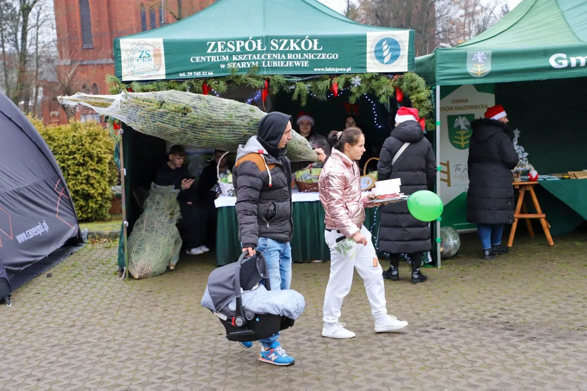 Ponad 200 choinek trafiło do mieszkańców Ostrowi! Ekologiczna akcja zakończona sukcesem! (zdjęcia)