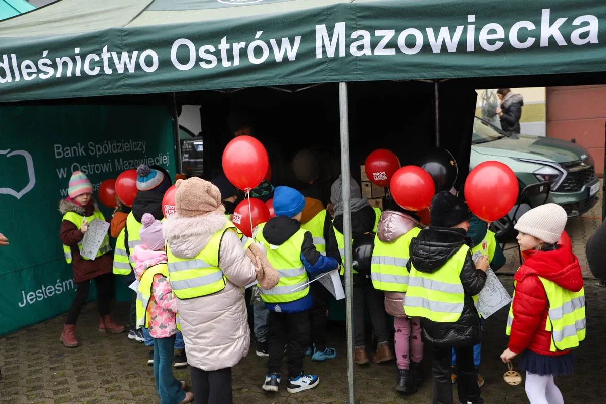 Ponad 200 choinek trafiło do mieszkańców Ostrowi! Ekologiczna akcja zakończona sukcesem! (zdjęcia)