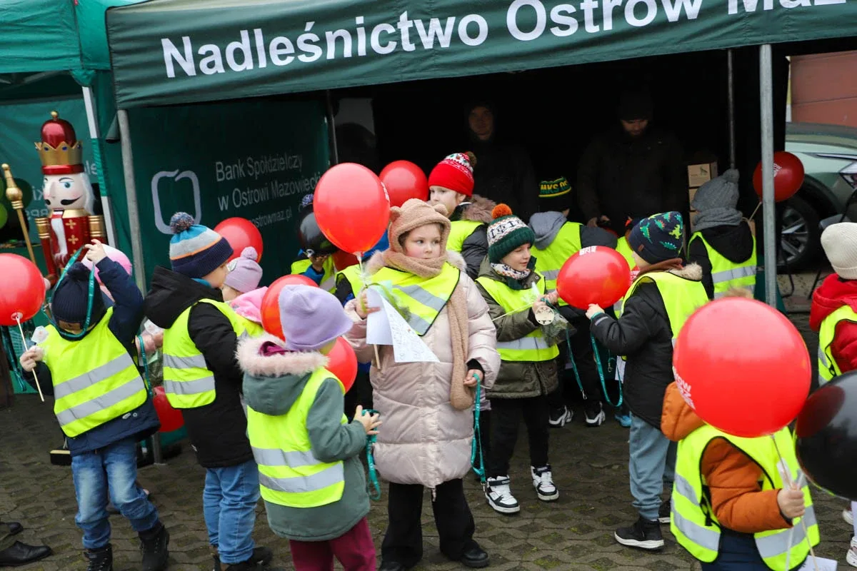 Ponad 200 choinek trafiło do mieszkańców Ostrowi! Ekologiczna akcja zakończona sukcesem! (zdjęcia)