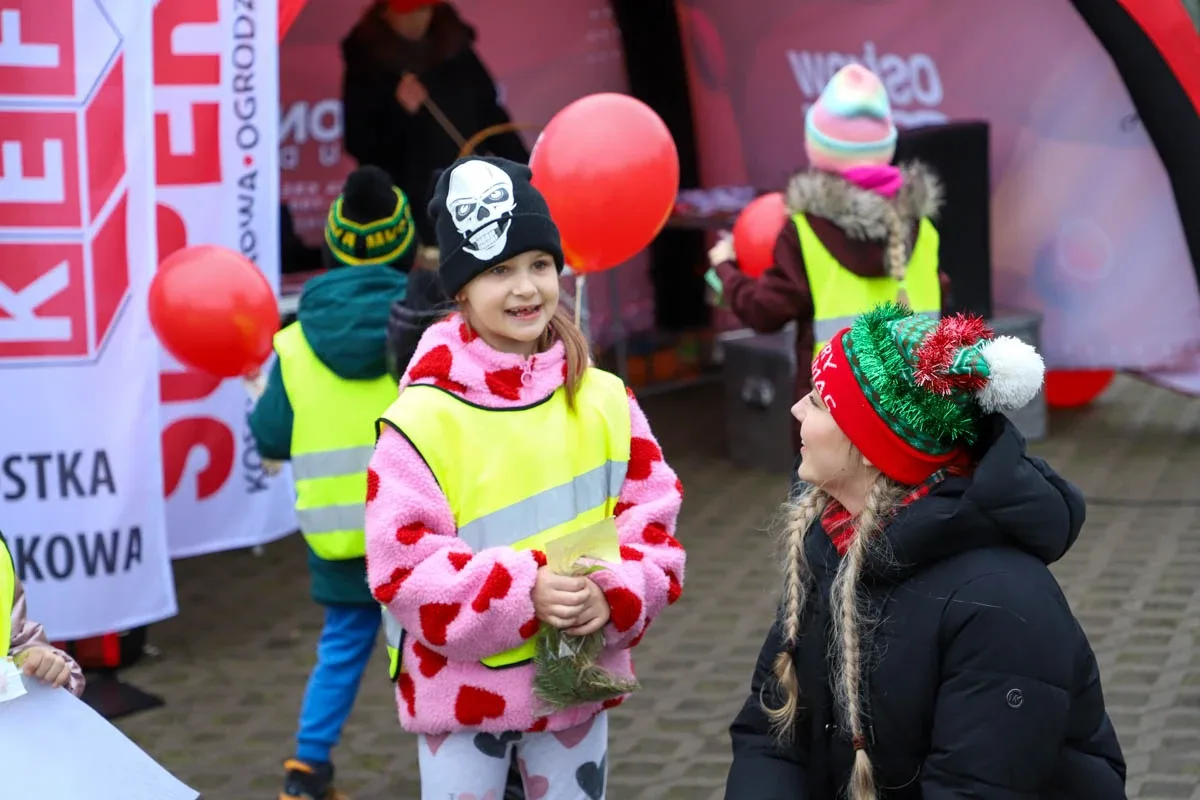 Ponad 200 choinek trafiło do mieszkańców Ostrowi! Ekologiczna akcja zakończona sukcesem! (zdjęcia)