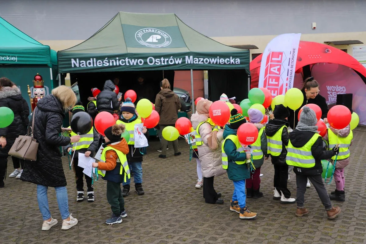 Ponad 200 choinek trafiło do mieszkańców Ostrowi! Ekologiczna akcja zakończona sukcesem! (zdjęcia)