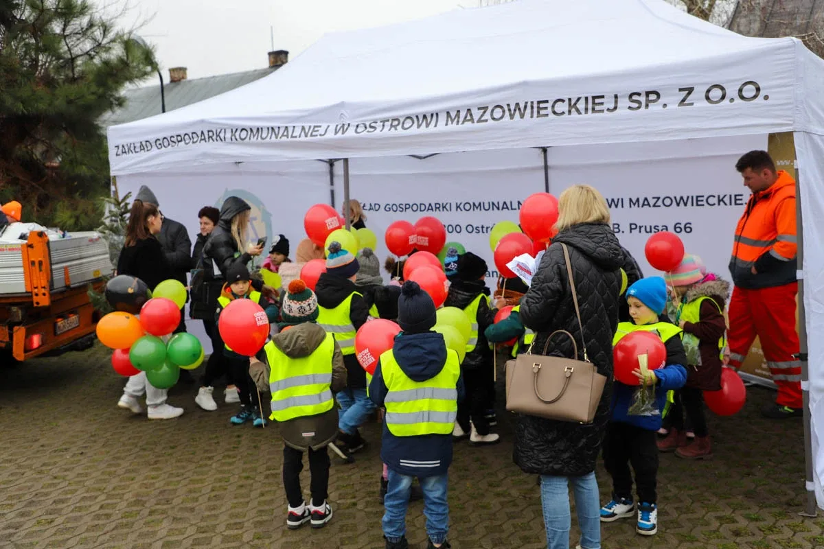 Ponad 200 choinek trafiło do mieszkańców Ostrowi! Ekologiczna akcja zakończona sukcesem! (zdjęcia)