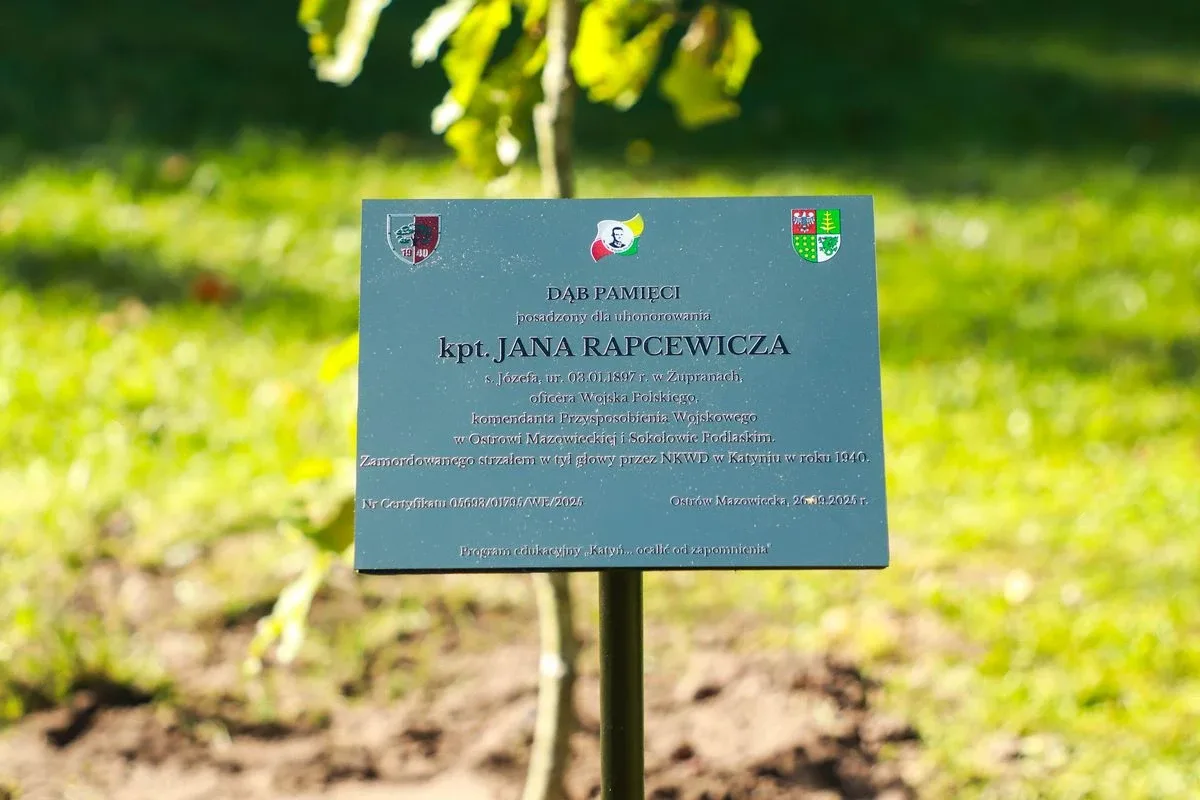 Dąb Pamięci dla kpt. Jana Rapcewicza. Wzruszająca uroczystość w Zespole Szkół nr 1 w Ostrowi Mazowieckiej (zdjęcia)