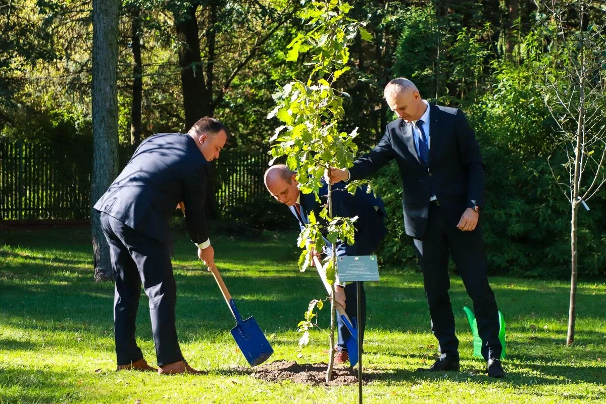 Dąb Pamięci dla kpt. Jana Rapcewicza. Wzruszająca uroczystość w Zespole Szkół nr 1 w Ostrowi Mazowieckiej (zdjęcia)