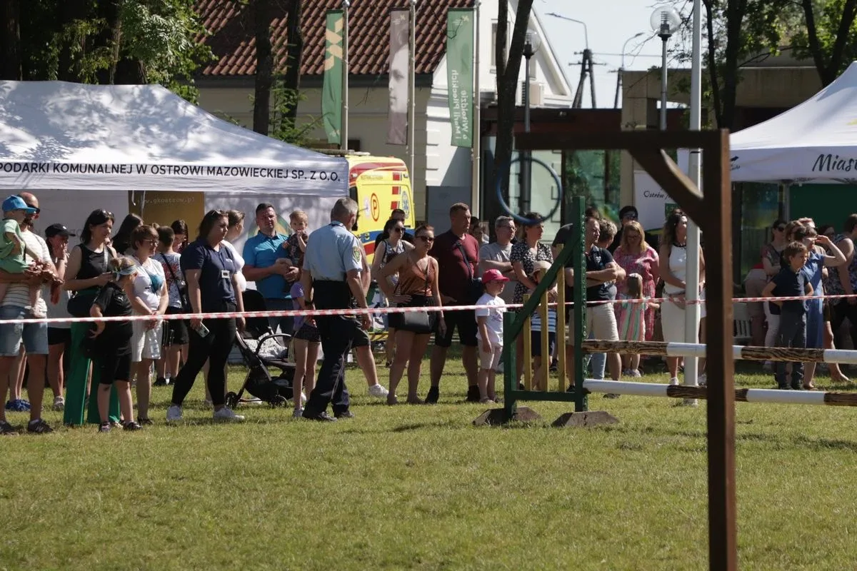 Skate jam, festiwal przedszkolaków i ułańska pasja. Mieszkańcy świętowali Dni Ostrowi Mazowieckiej! (zdjęcia)