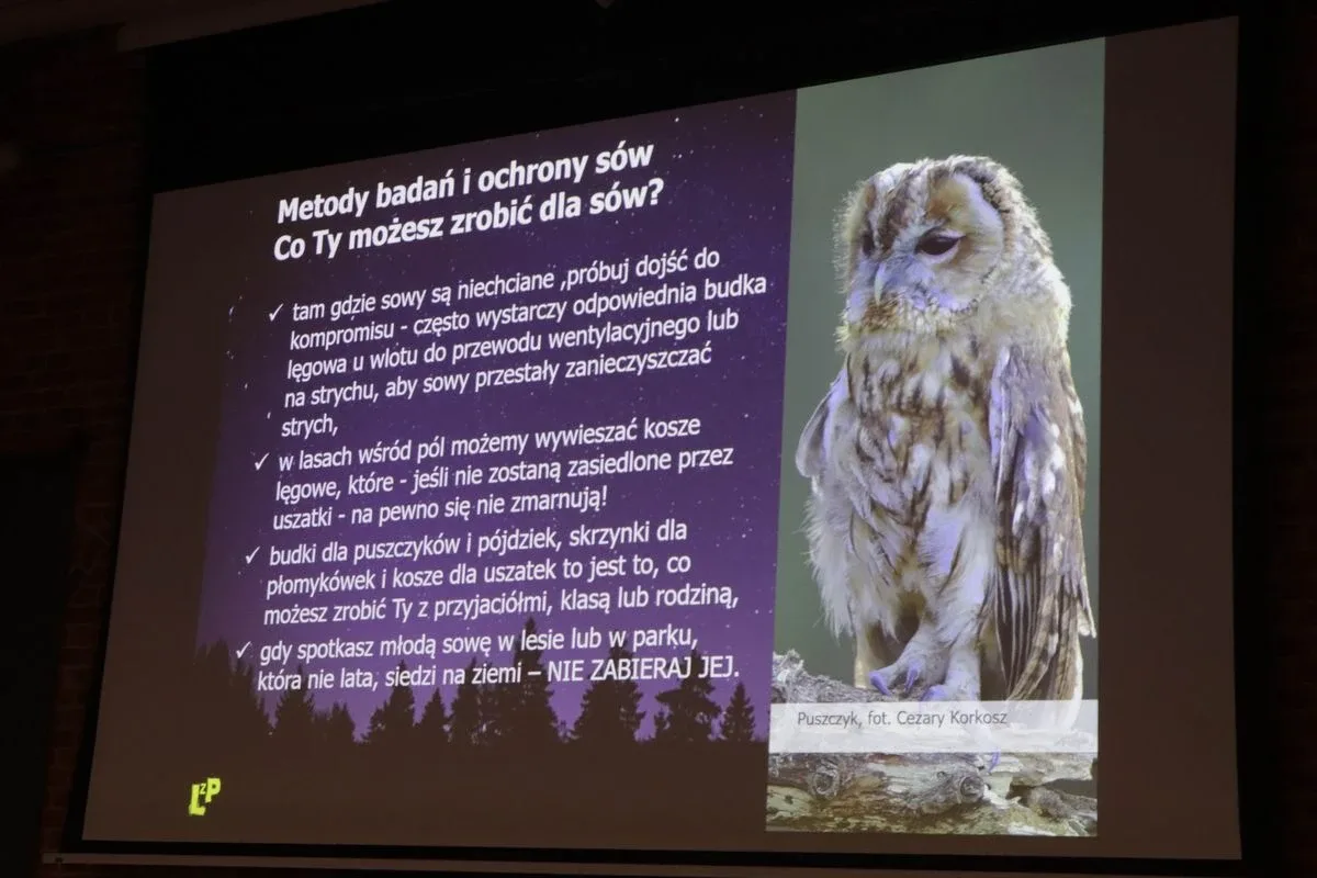 VIII Noc z Sowami w Ostrowi Mazowieckiej (zdjęcia)