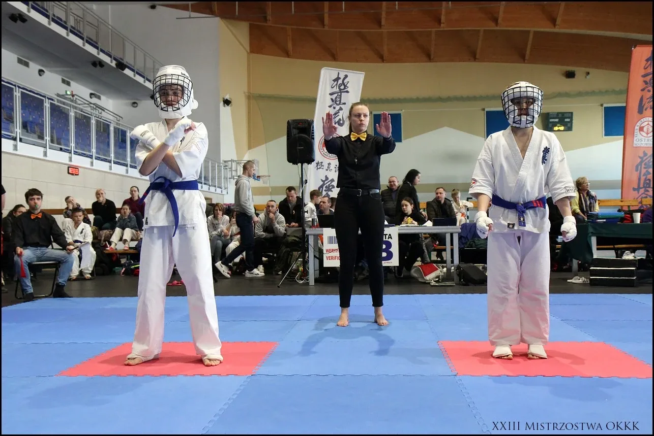 XXIII Mistrzostwa Ostrowskiego Klubu Karate Kyokushinkai (zdjęcia)