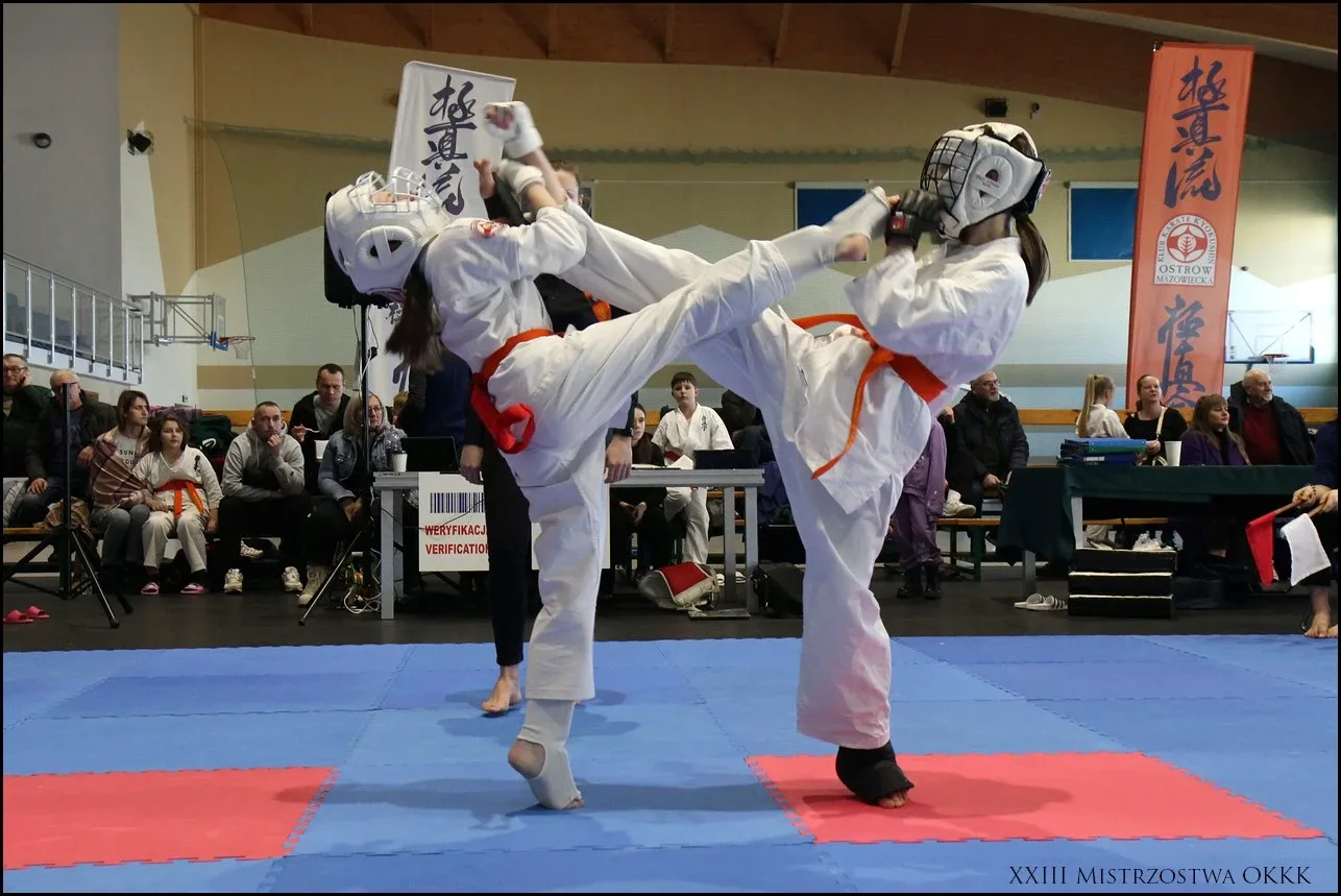 XXIII Mistrzostwa Ostrowskiego Klubu Karate Kyokushinkai (zdjęcia)