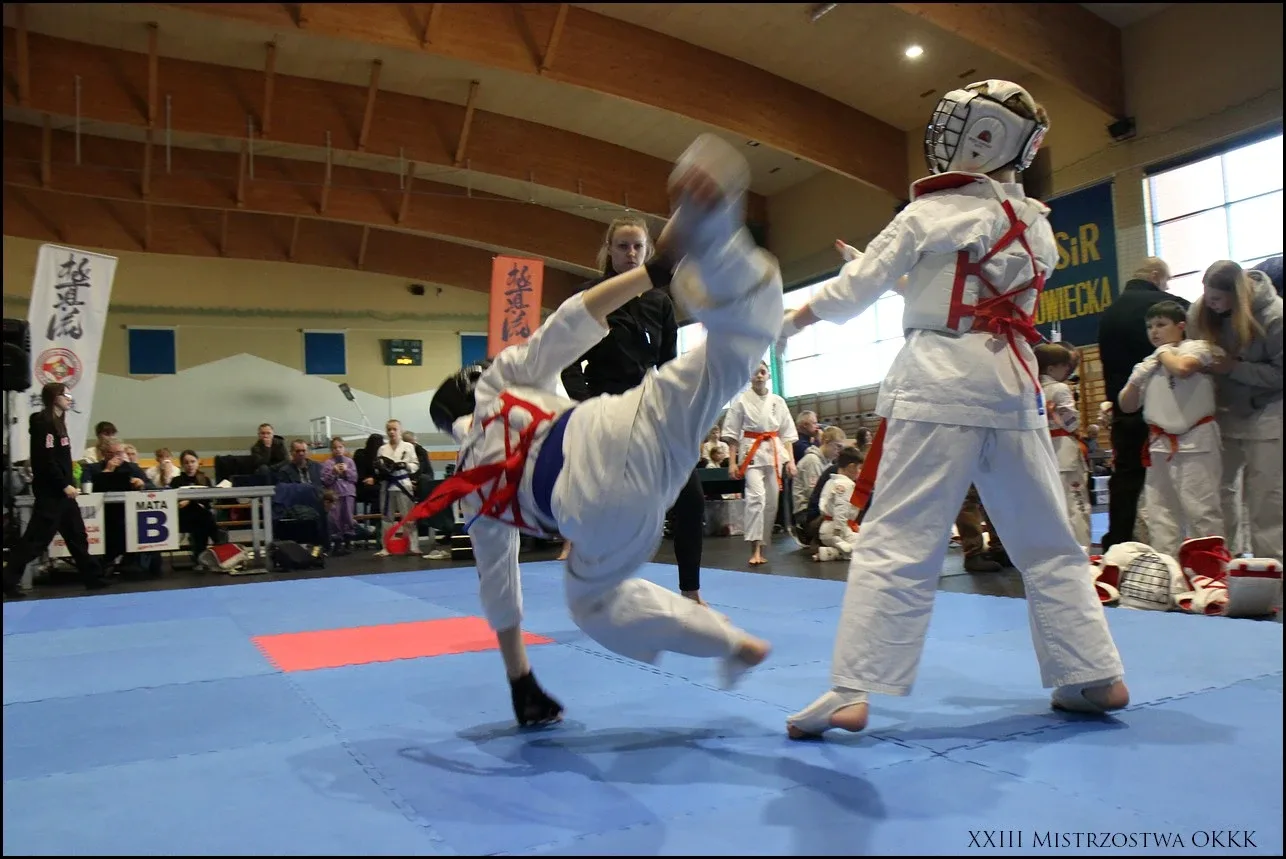 XXIII Mistrzostwa Ostrowskiego Klubu Karate Kyokushinkai (zdjęcia)