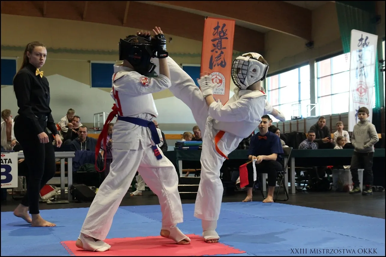 XXIII Mistrzostwa Ostrowskiego Klubu Karate Kyokushinkai (zdjęcia)