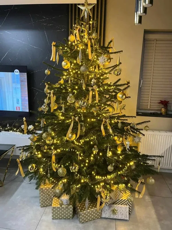 Konkurs rozstrzygnięty, nagroda odebrana (zdjęcia)