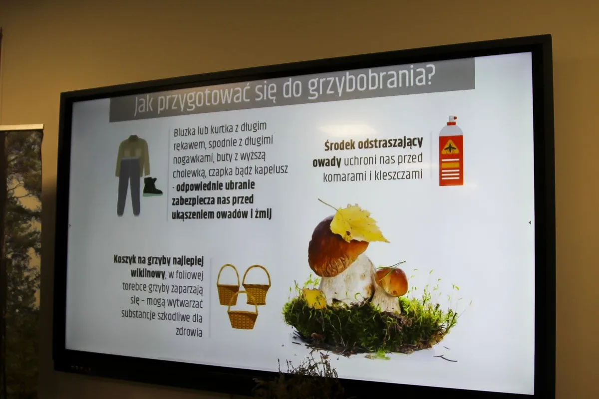 Grzybowa wystawa w leśnej atmosferze w budynku PSSE (zdjęcia)