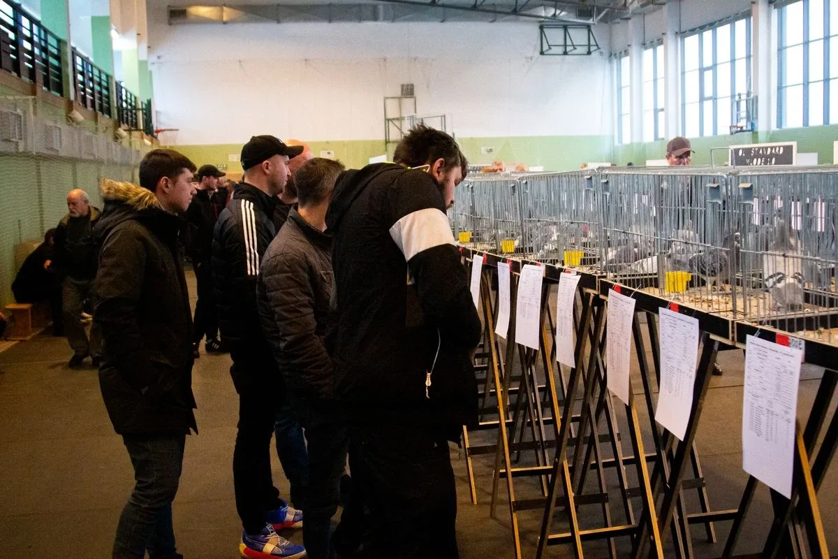 35. Okręgowa Wystawa Gołębi Pocztowych Okręgu Białystok już za nami! (zdjęcia)