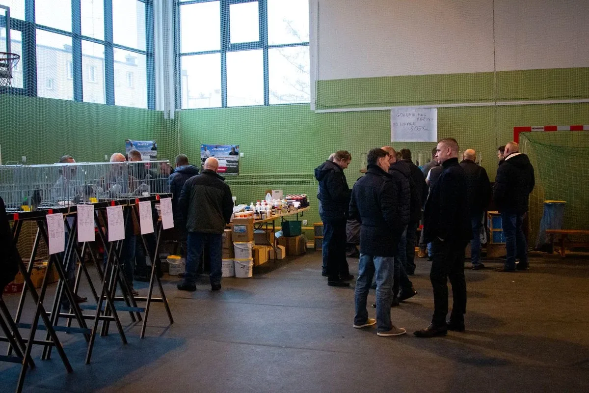 35. Okręgowa Wystawa Gołębi Pocztowych Okręgu Białystok już za nami! (zdjęcia)