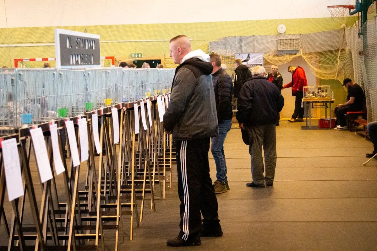 35. Okręgowa Wystawa Gołębi Pocztowych Okręgu Białystok już za nami! (zdjęcia)