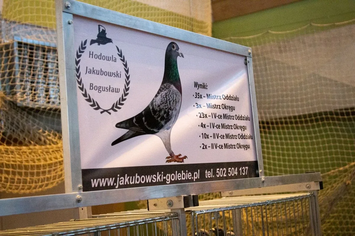35. Okręgowa Wystawa Gołębi Pocztowych Okręgu Białystok już za nami! (zdjęcia)
