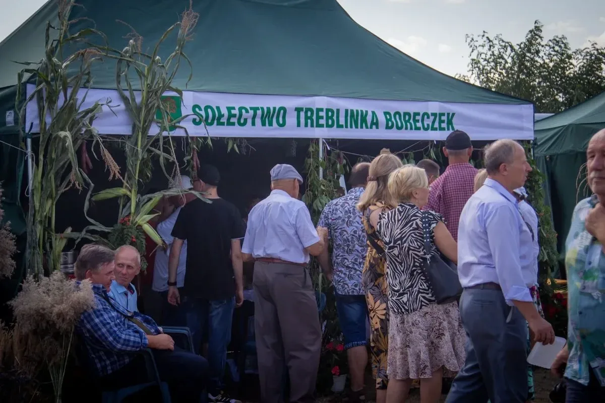 Artyści zaprezentowali swoje utwory na Dożynkach Gminno-Parafialnych w Prostyni (zdjęcia, wideo) 