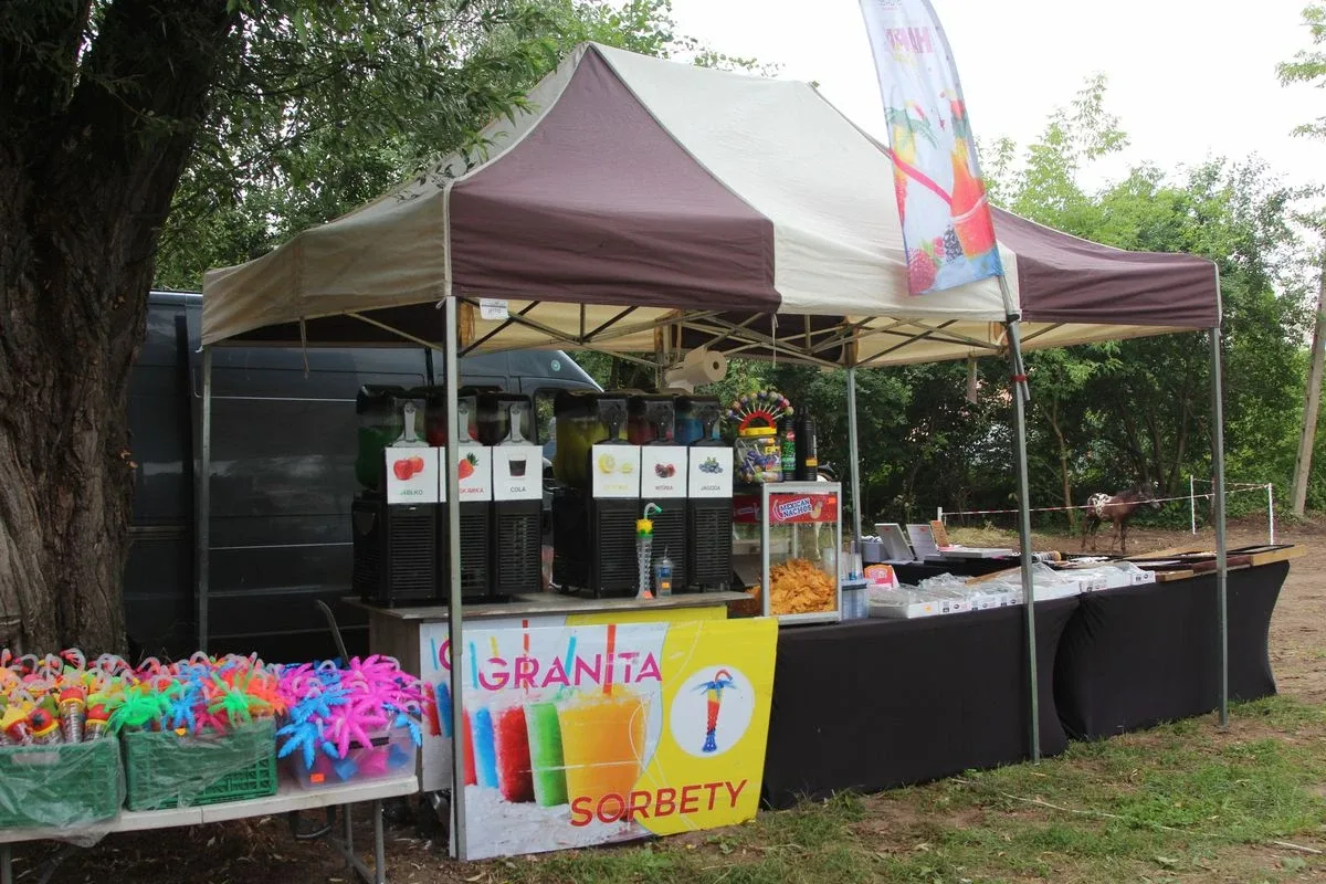Oficjalne otwarcie Festiwalu Kół Gospodyń Wiejskich w Bogutach-Piankach (zdjęcia, wiedo)