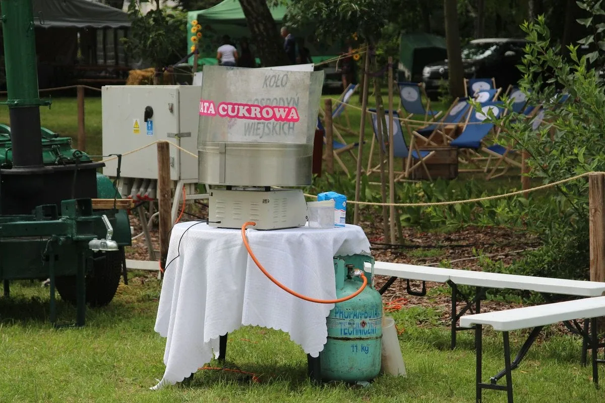Oficjalne otwarcie Festiwalu Kół Gospodyń Wiejskich w Bogutach-Piankach (zdjęcia, wiedo)