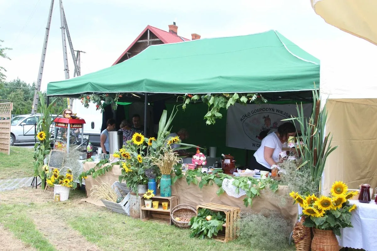 Oficjalne otwarcie Festiwalu Kół Gospodyń Wiejskich w Bogutach-Piankach (zdjęcia, wiedo)