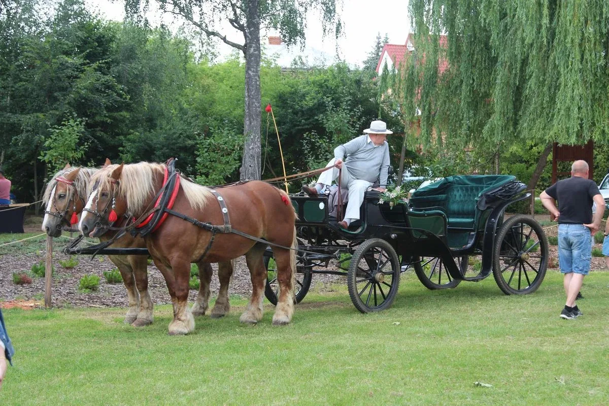 Oficjalne otwarcie Festiwalu Kół Gospodyń Wiejskich w Bogutach-Piankach (zdjęcia, wiedo)