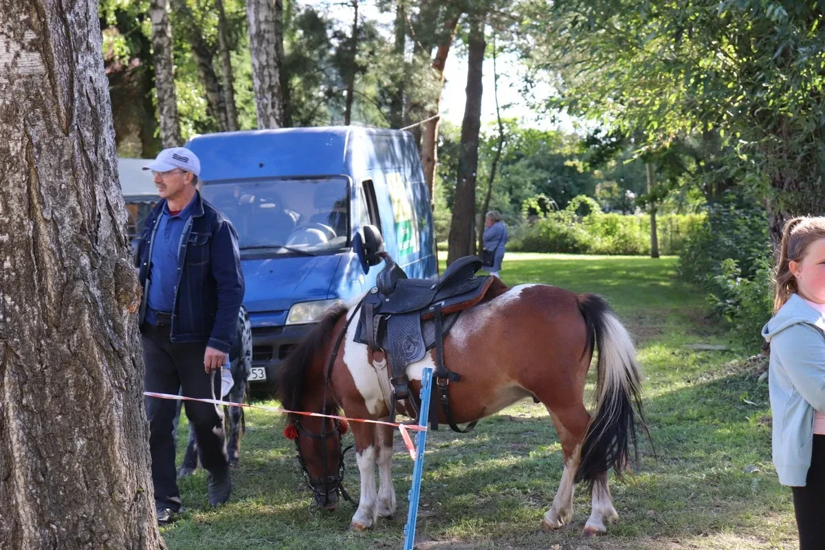 Za nami pożegnanie lata w Bogutach-Piankach (zdjęcia)