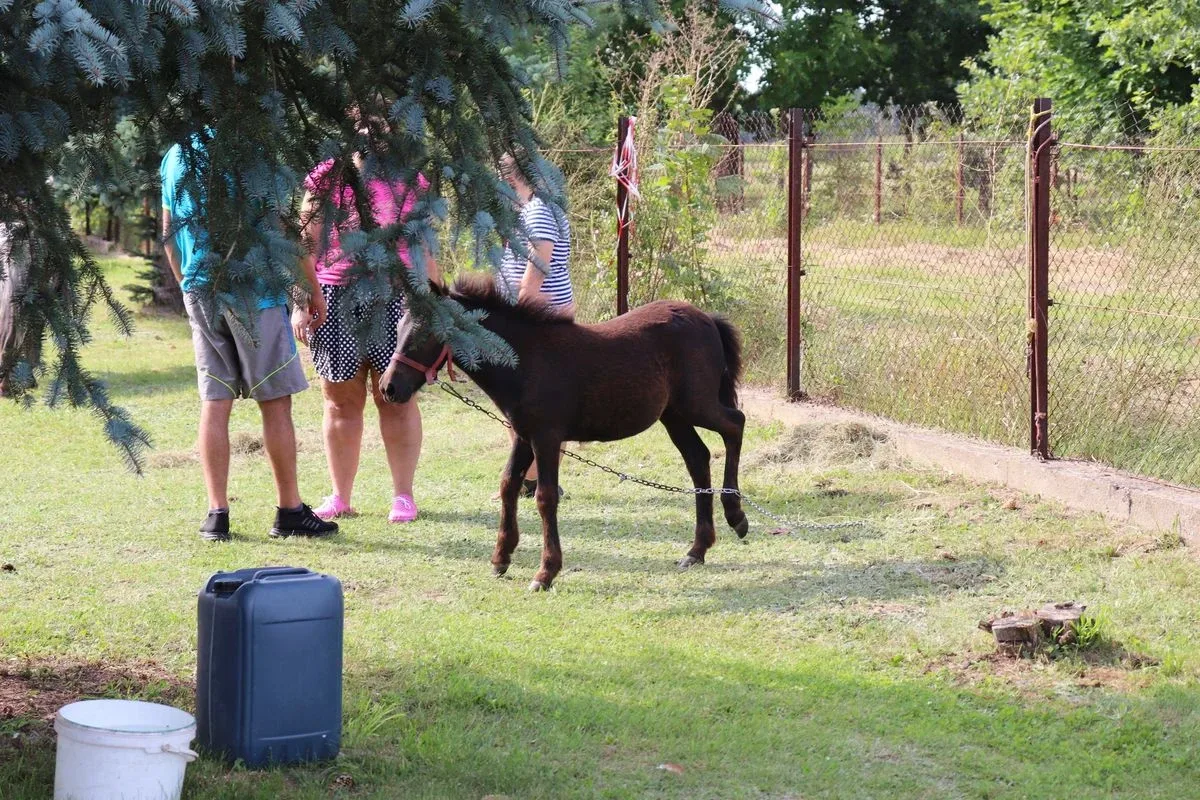 Piknik rodzinny z wieloma atrakcjami w Nurze (zdjęcia)