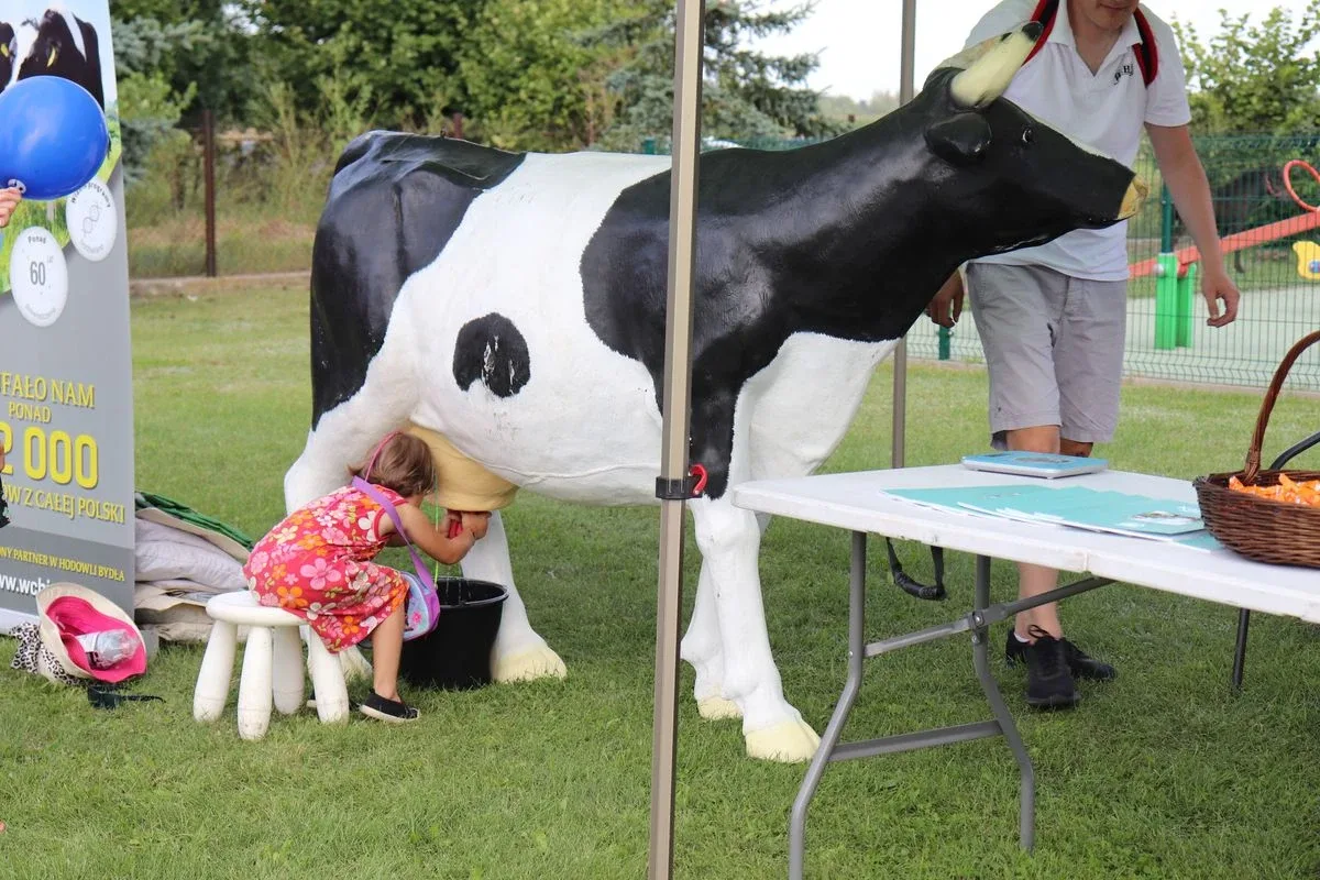 Piknik rodzinny z wieloma atrakcjami w Nurze (zdjęcia)