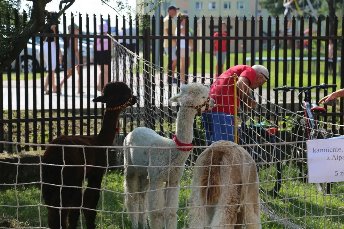 Charytatywny piknik dla Krystiana Garbarczyka w Małkini Górnej (zdjęcia)