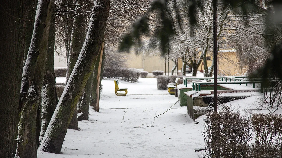 Ostrów Mazowiecka pokryta śniegiem (zdjęcia)