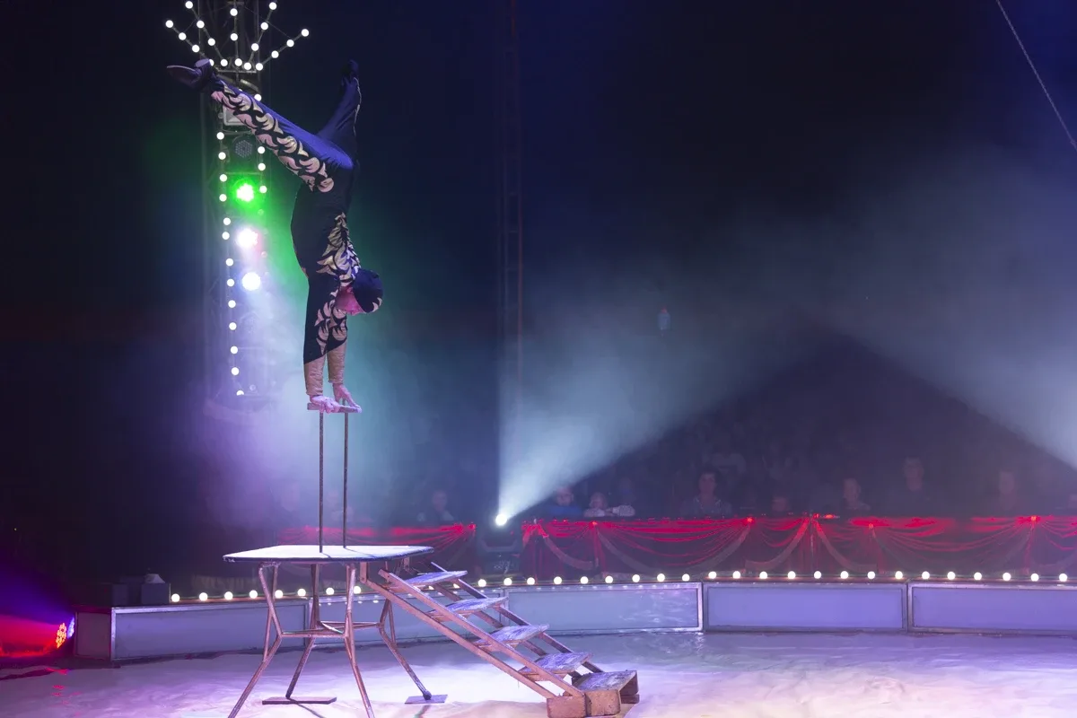 Cyrk Arena w Ostrowi Mazowieckiej (zdjęcia, wideo)
