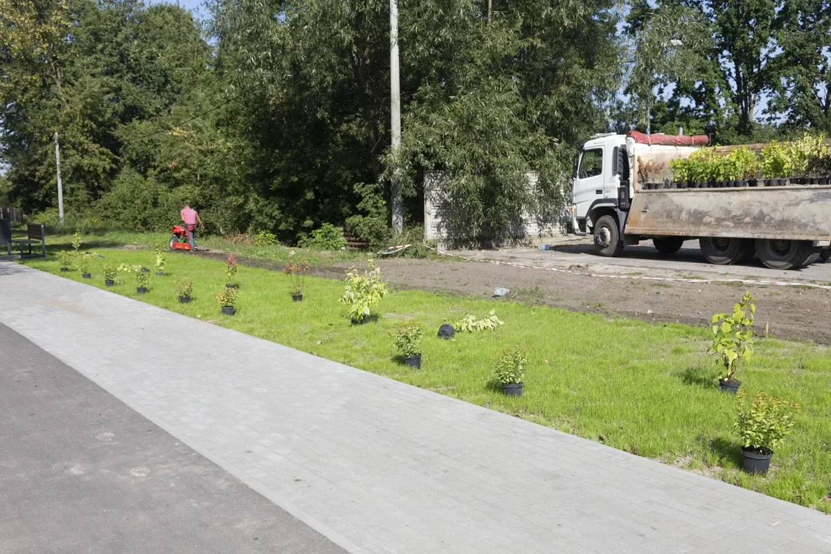 Międzynarodowa aleja w Ostrowi Mazowieckiej (zdjęcia)