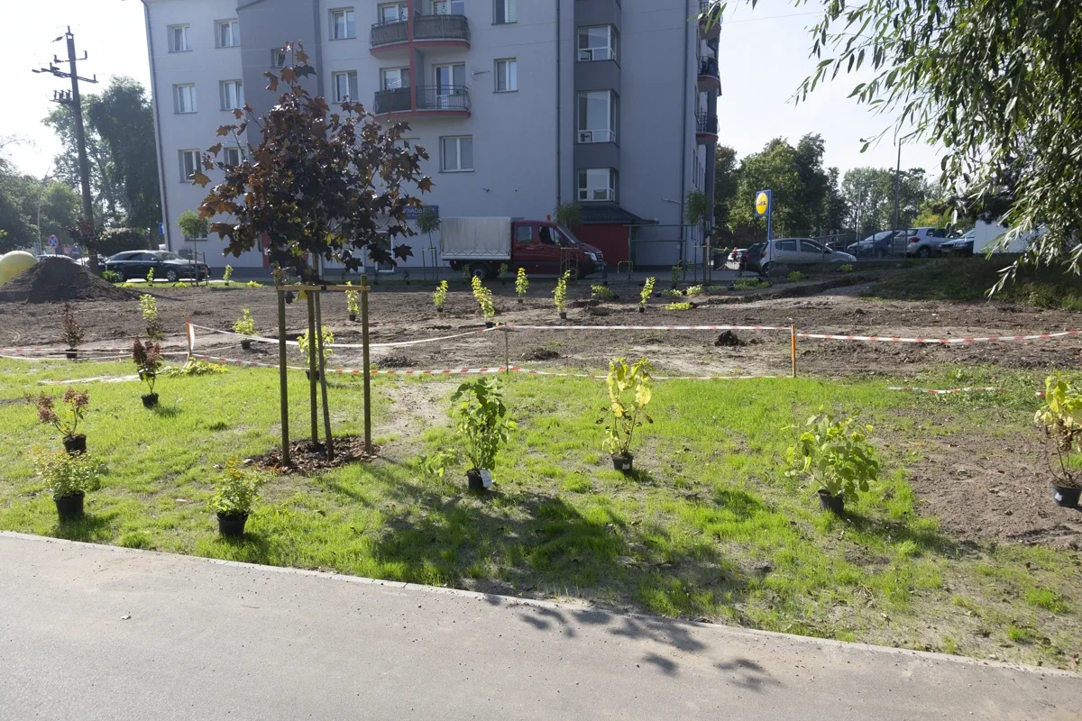 Międzynarodowa aleja w Ostrowi Mazowieckiej (zdjęcia)