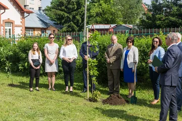 Następne zdjęcie