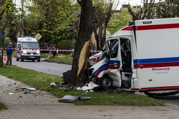 Poprzednie zdjęcie