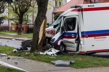 Następne zdjęcie