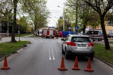 Następne zdjęcie