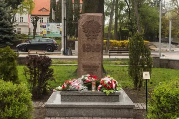 Następne zdjęcie