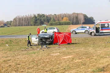 Poprzednie zdjęcie