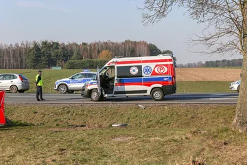 Następne zdjęcie